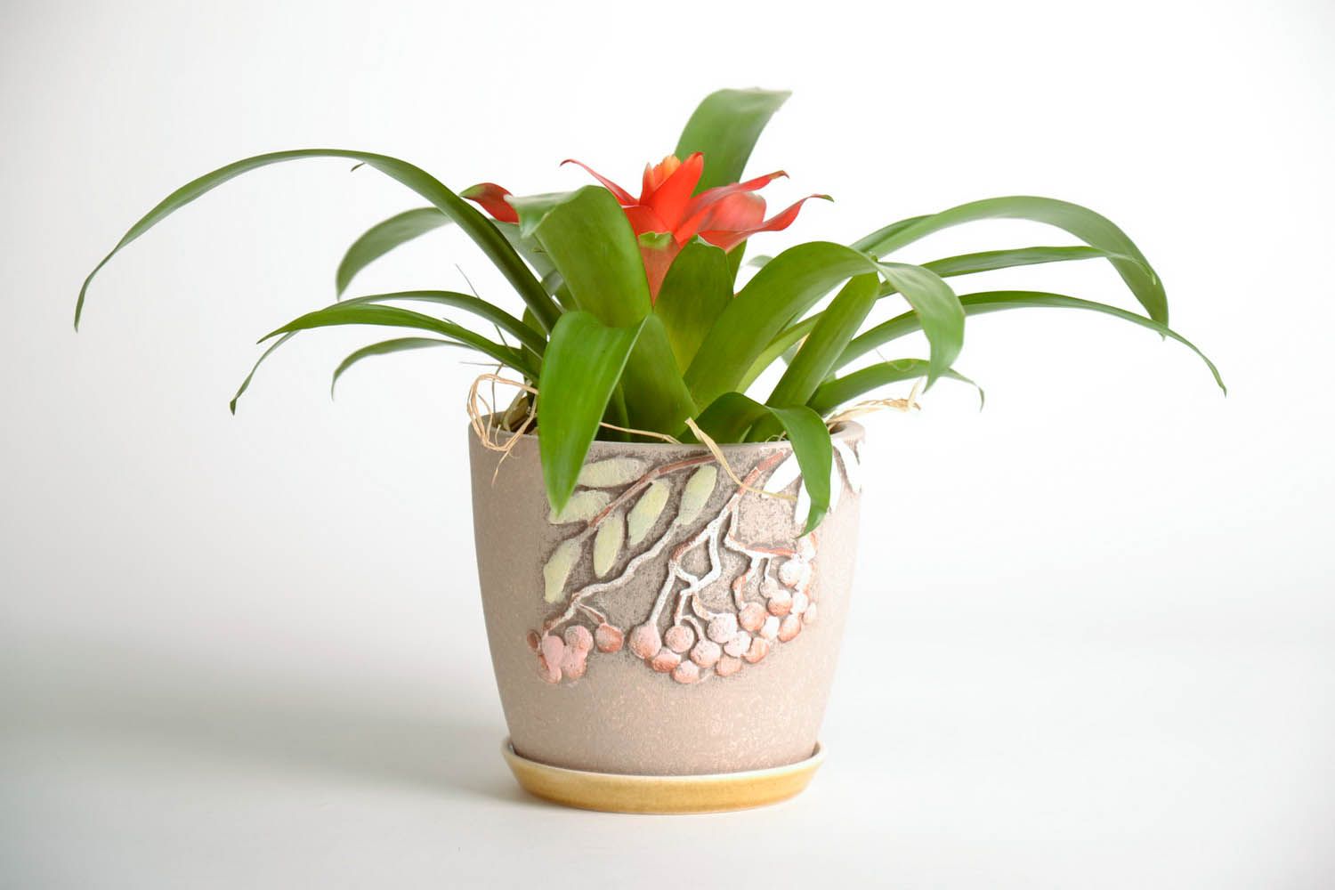 Ceramic flowerpot Viola photo 2