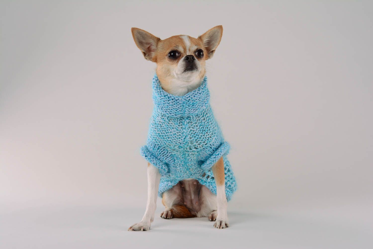 Pullover-Kleid für Hunde foto 4