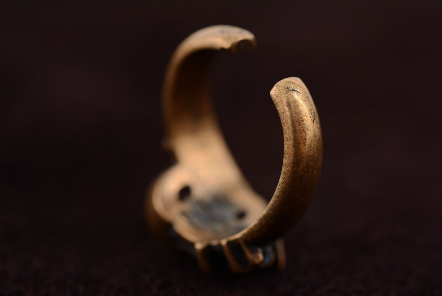 Bronze ring Love and Passion photo 5