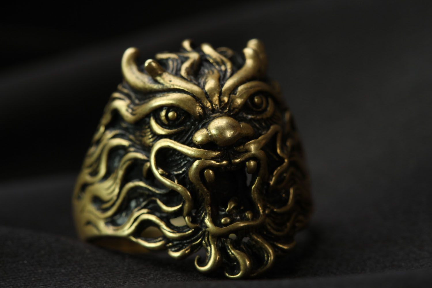 Bronze seal ring Mask photo 4