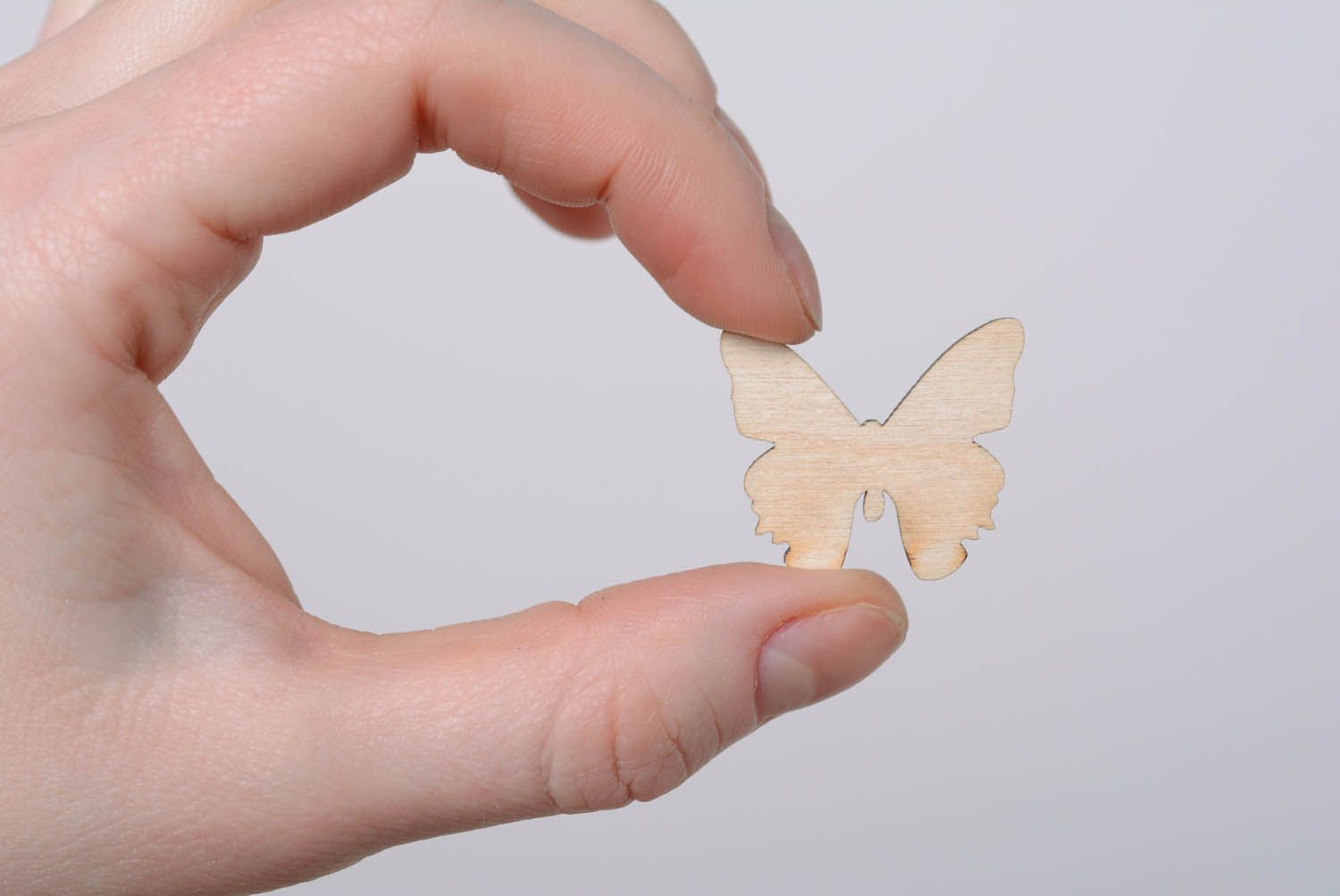 Wooden craft blank for painting The Moth photo 9
