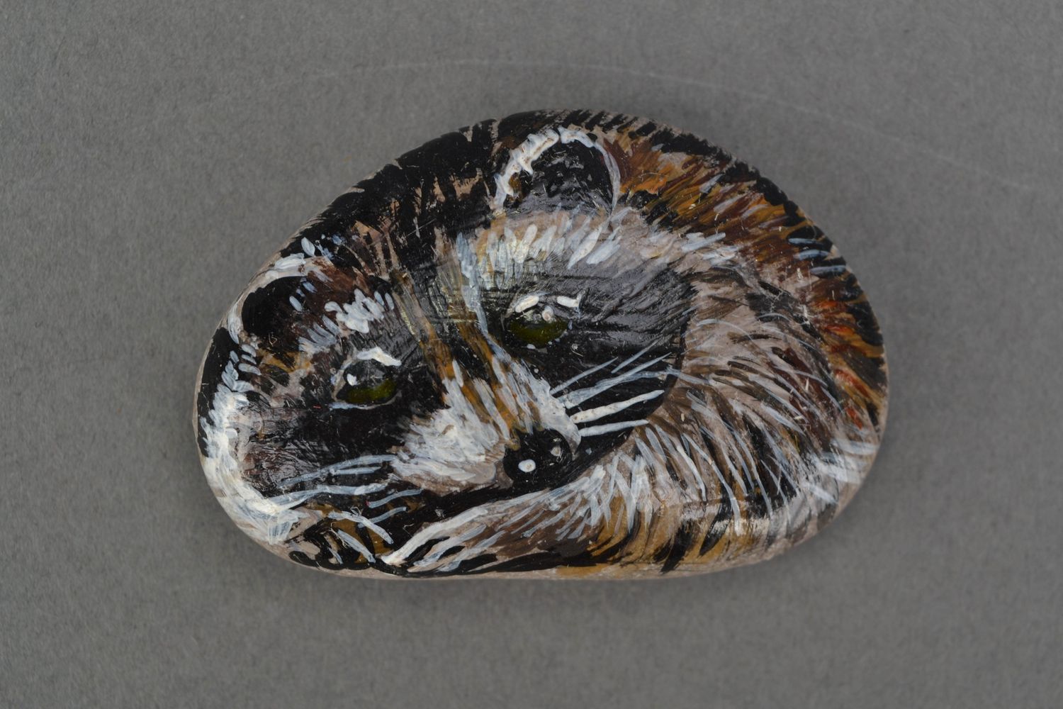 Small painted sea stone for decor Raccoon photo 4