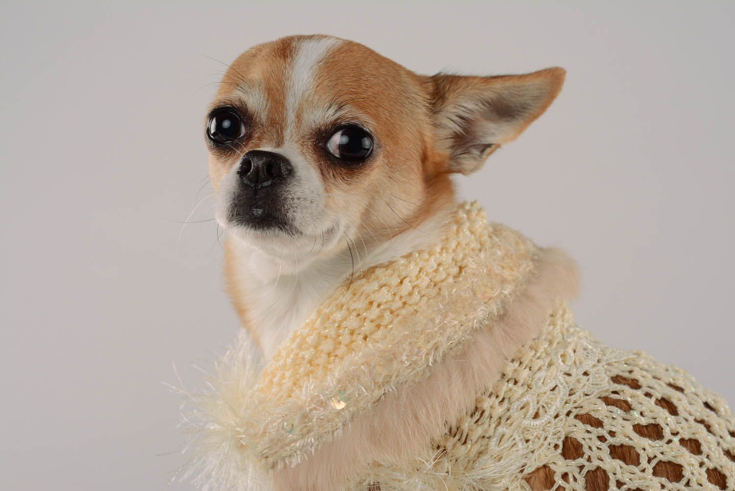 Vestido para cães feito de seda e viscose Colibri foto 2