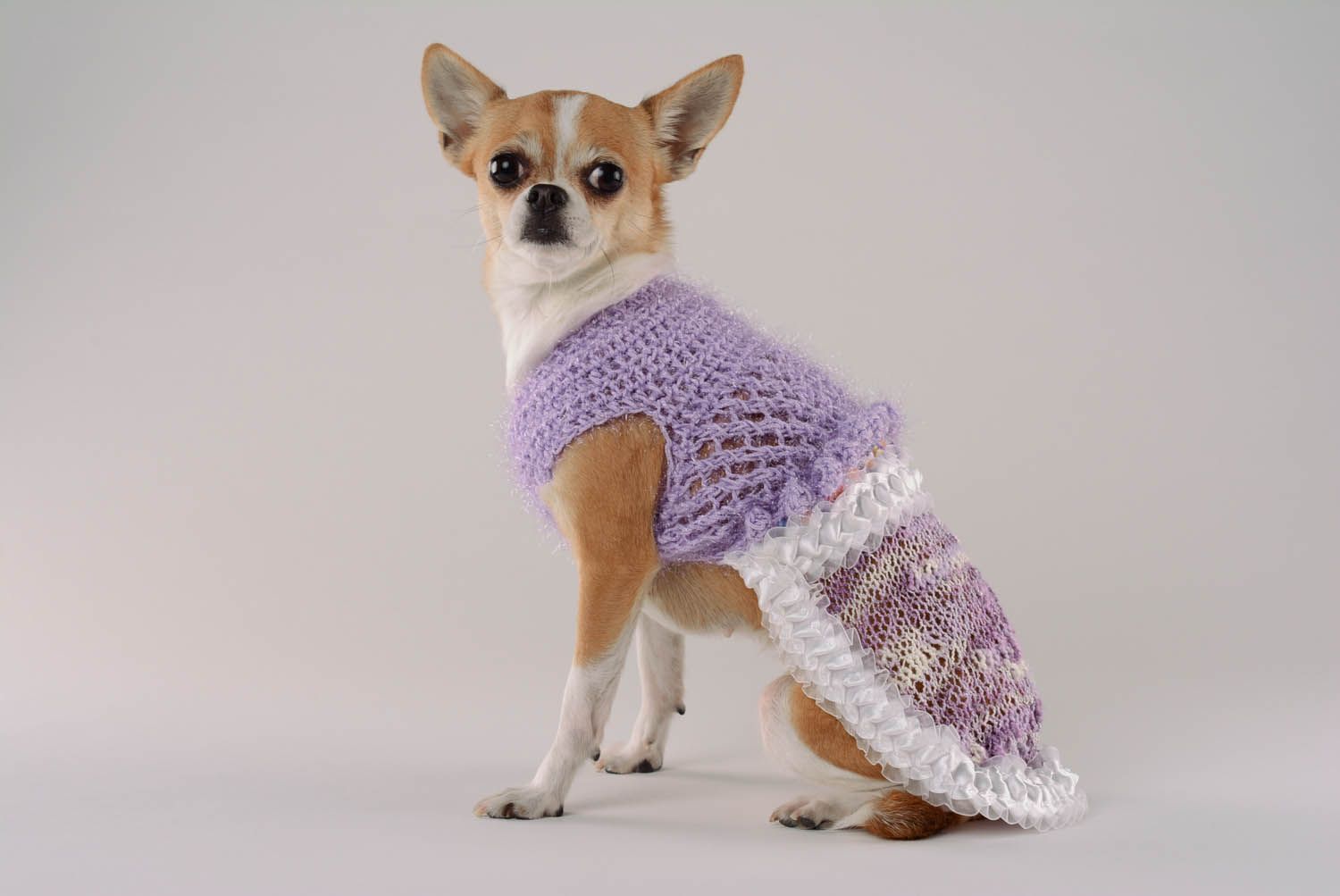 Robe tricot pour chien Violettes et myosotis photo 1