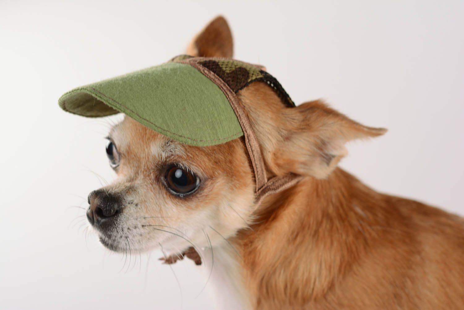 Boné para o cão Militar roupas para cães feitas à mão foto 2