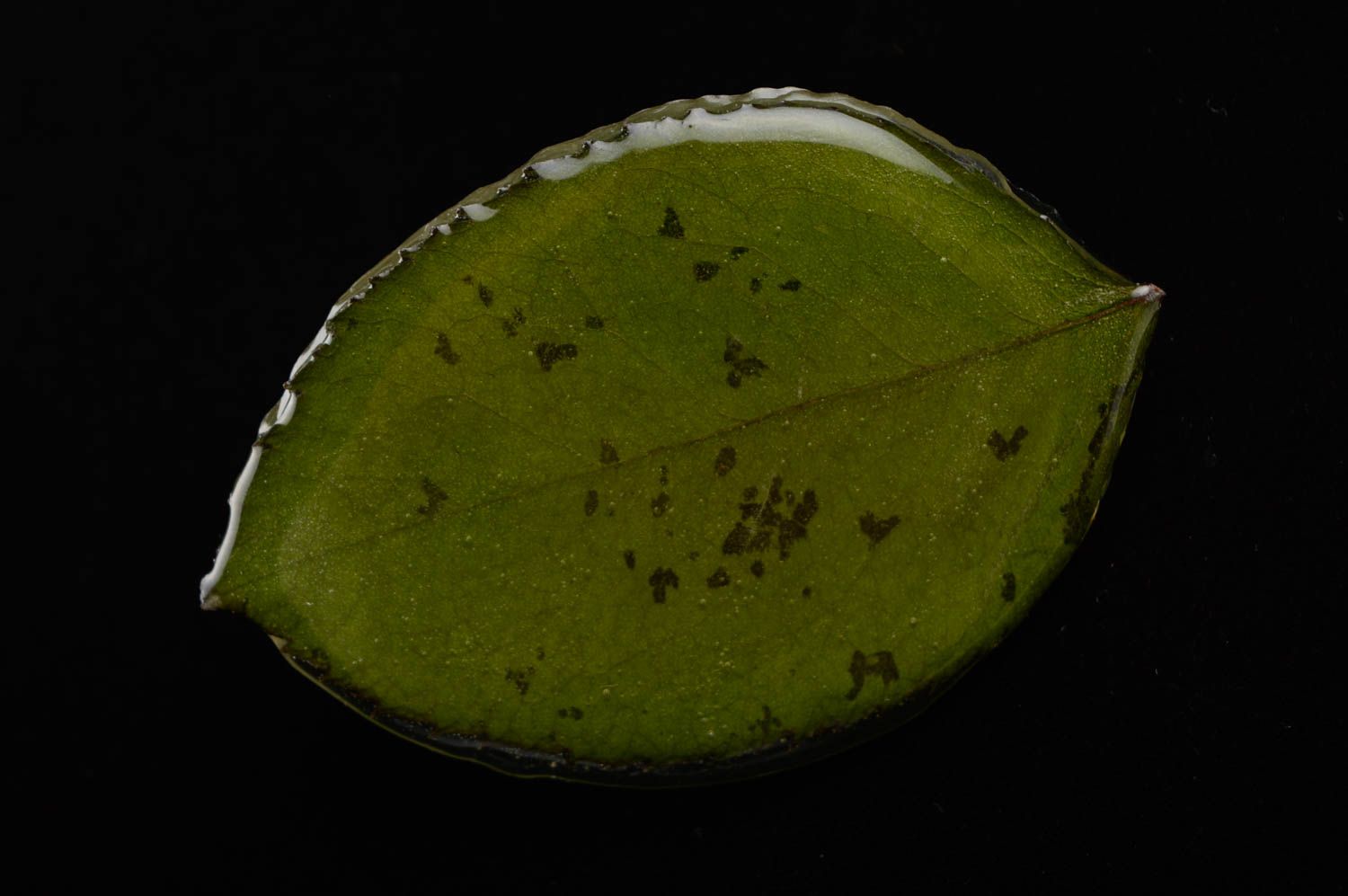 Broche feuille verte en résine époxyde originale faite main cadeau pour femme photo 4