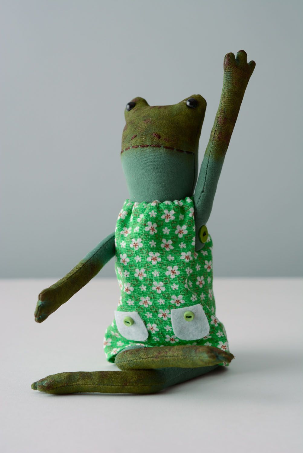 Soft toy Frog photo 3