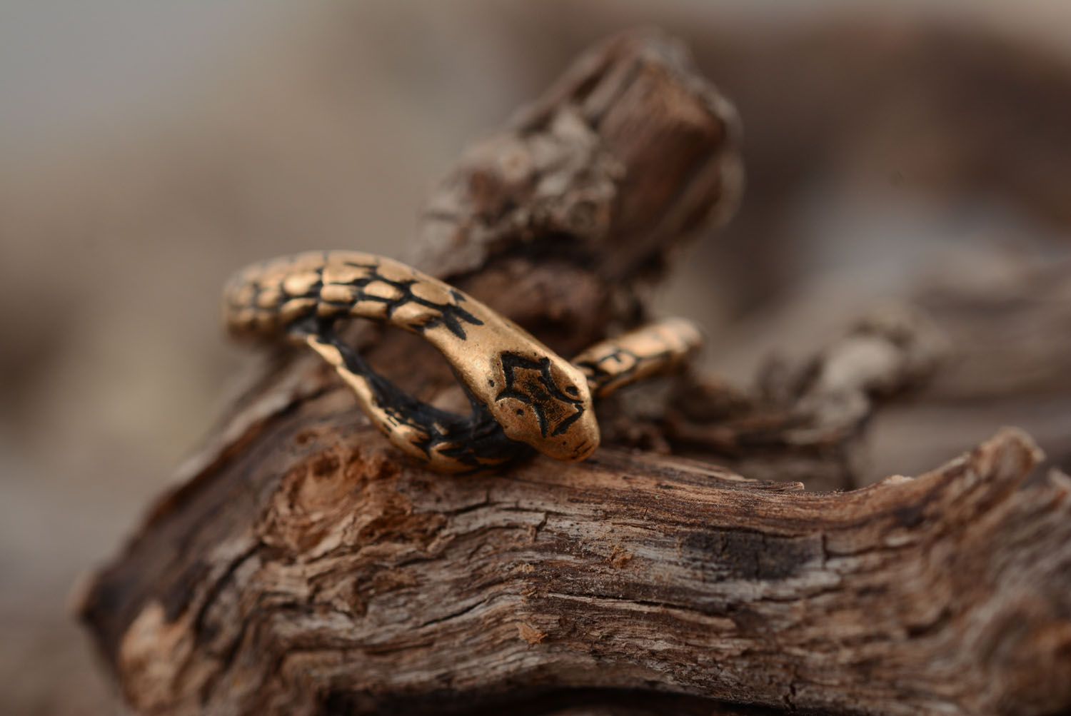 Бронзовое кольцо Змея фото 1