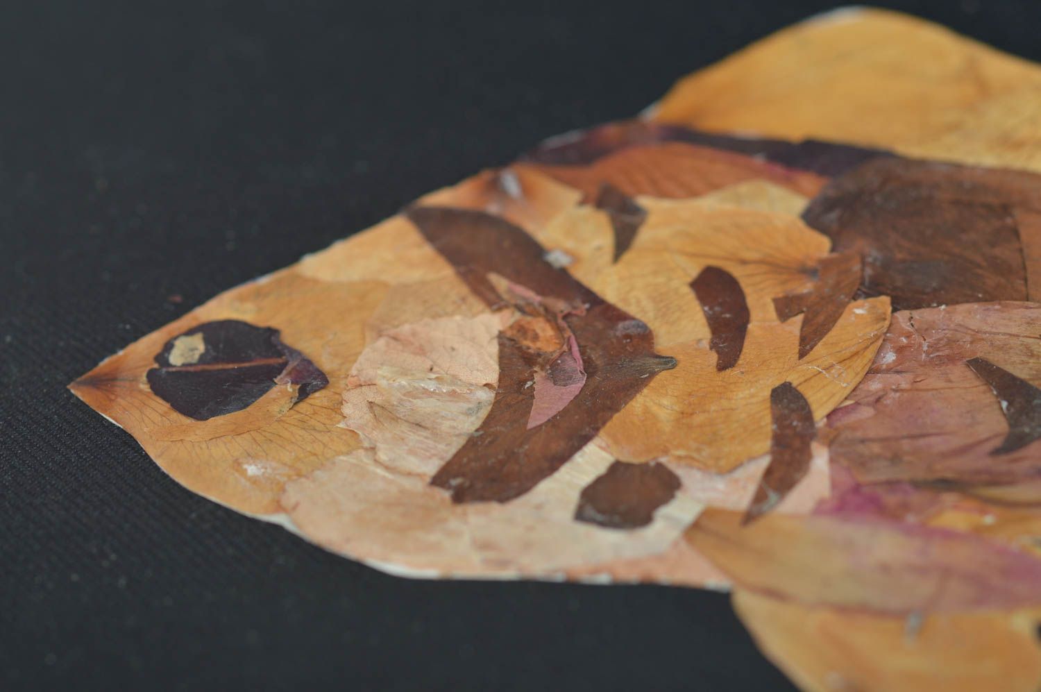 Handmade designer picture collage with dried leaves on black fabric Fish photo 2