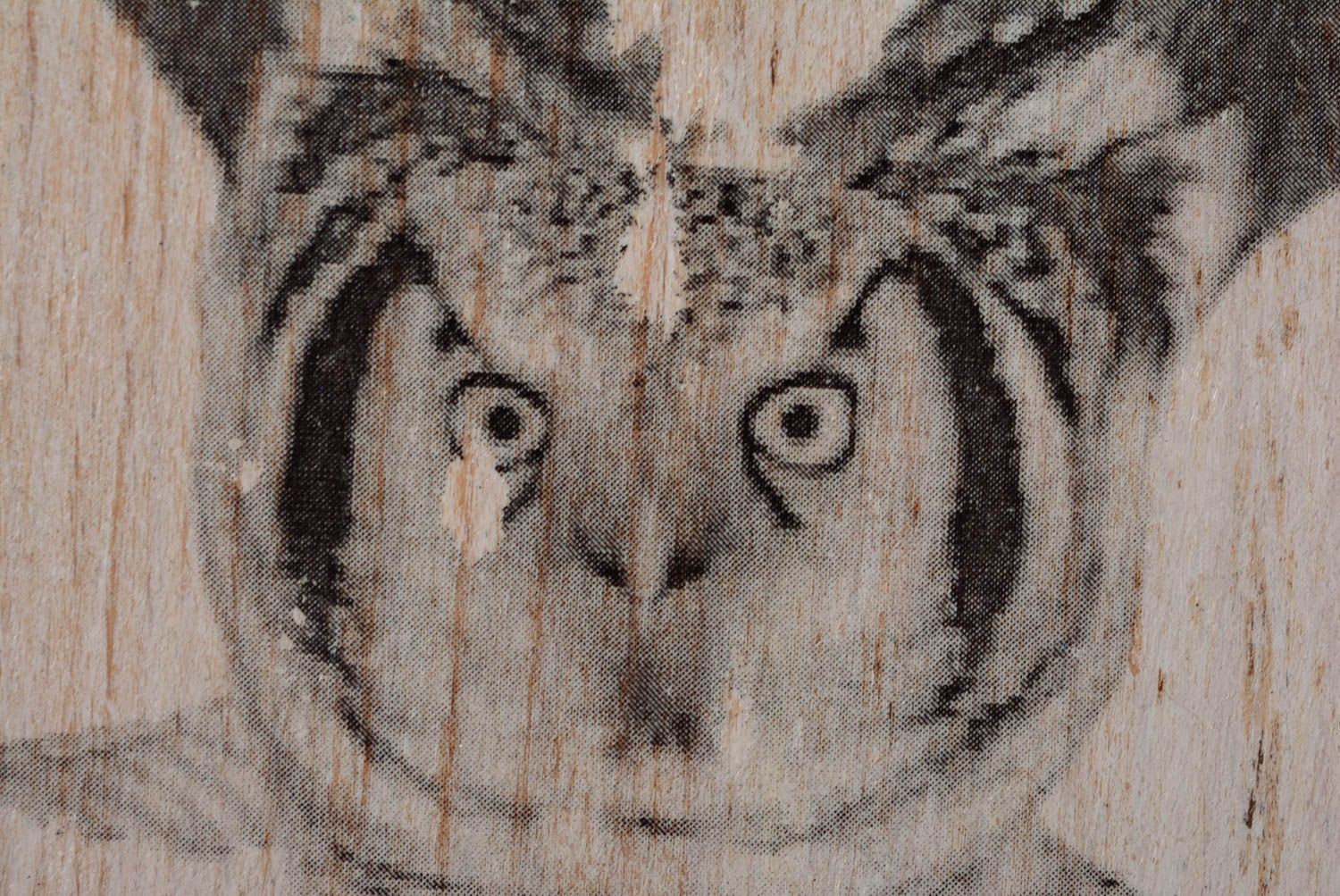 Unusual beautiful handmade decoupage wooden chopping board with owl image photo 3