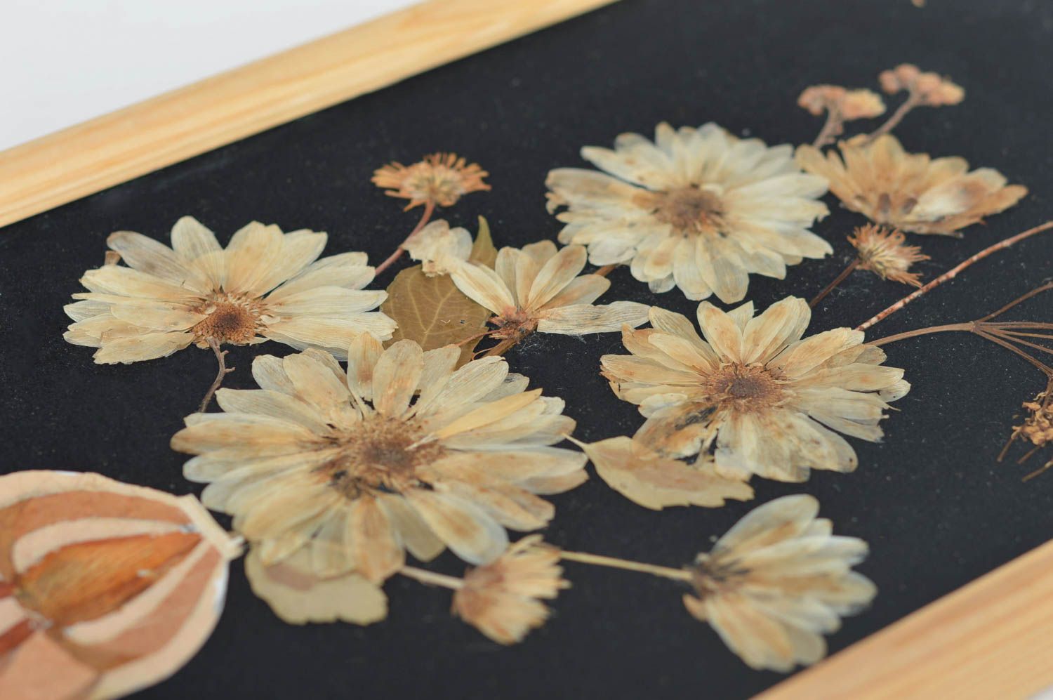 Handgemachtes Bild aus getrockneten Blumen Kamillen in Holzrahmen für Dekor foto 2