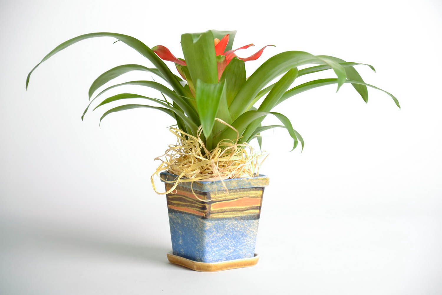 Clay flowerpot with a stand photo 1