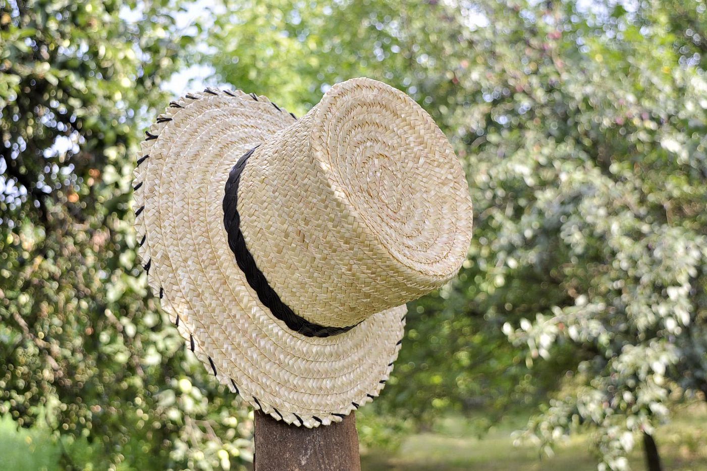 Sombrero de copa de paja De Gogol foto 5