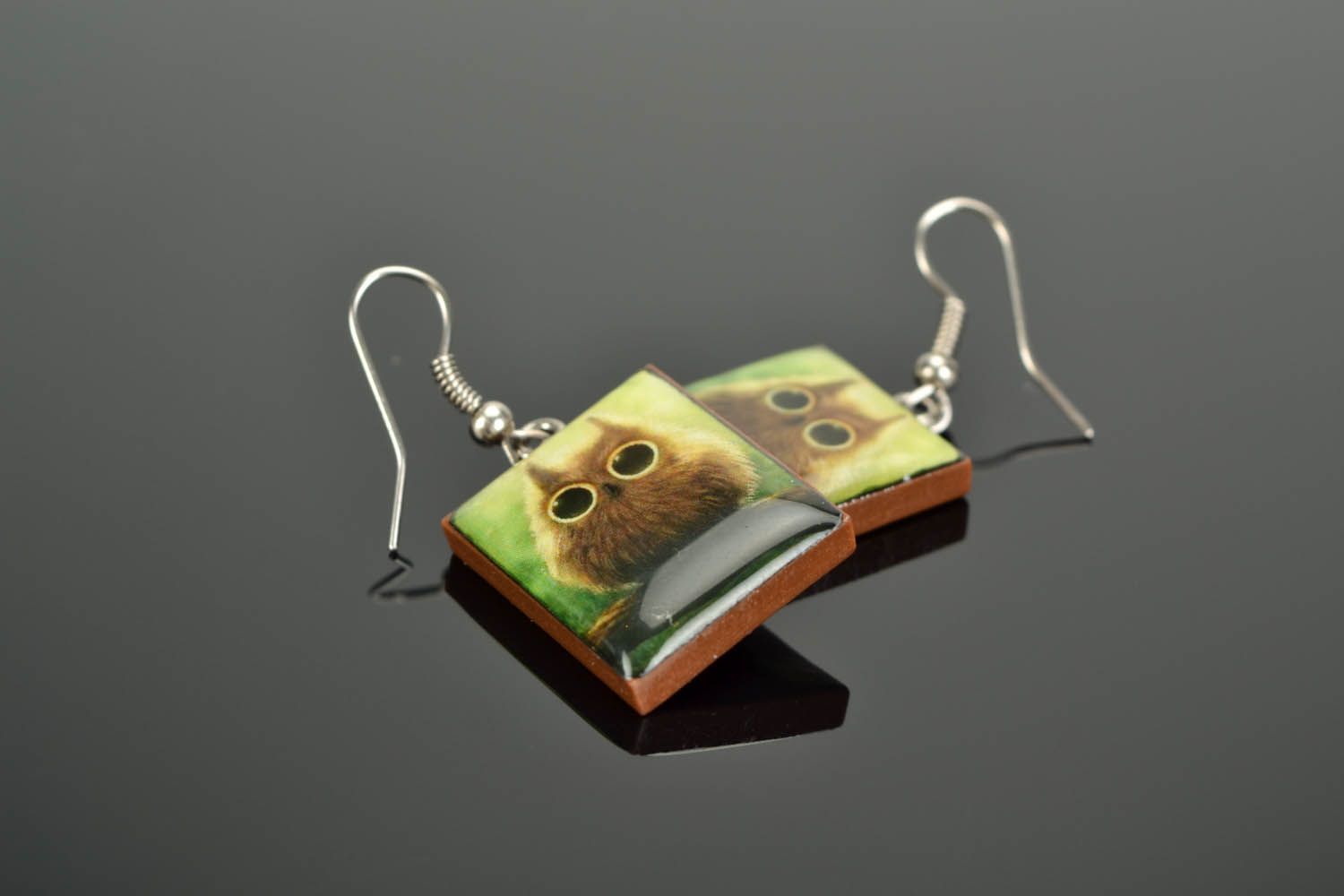 Polymer clay earrings Owls photo 1