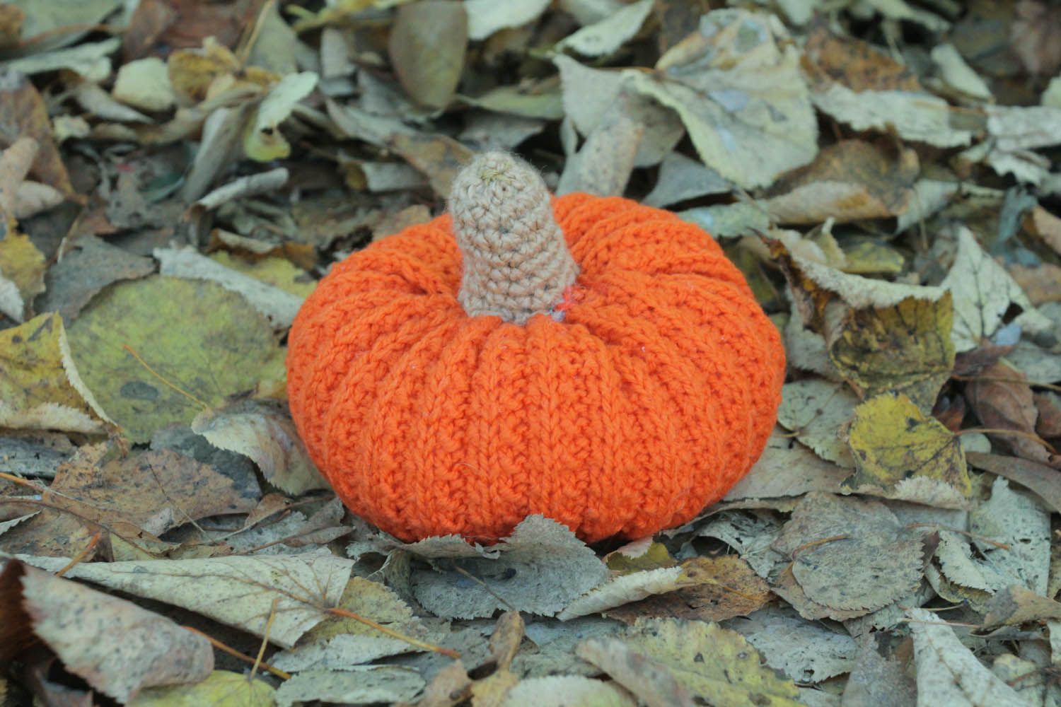 Crocheted pumpkin photo 1