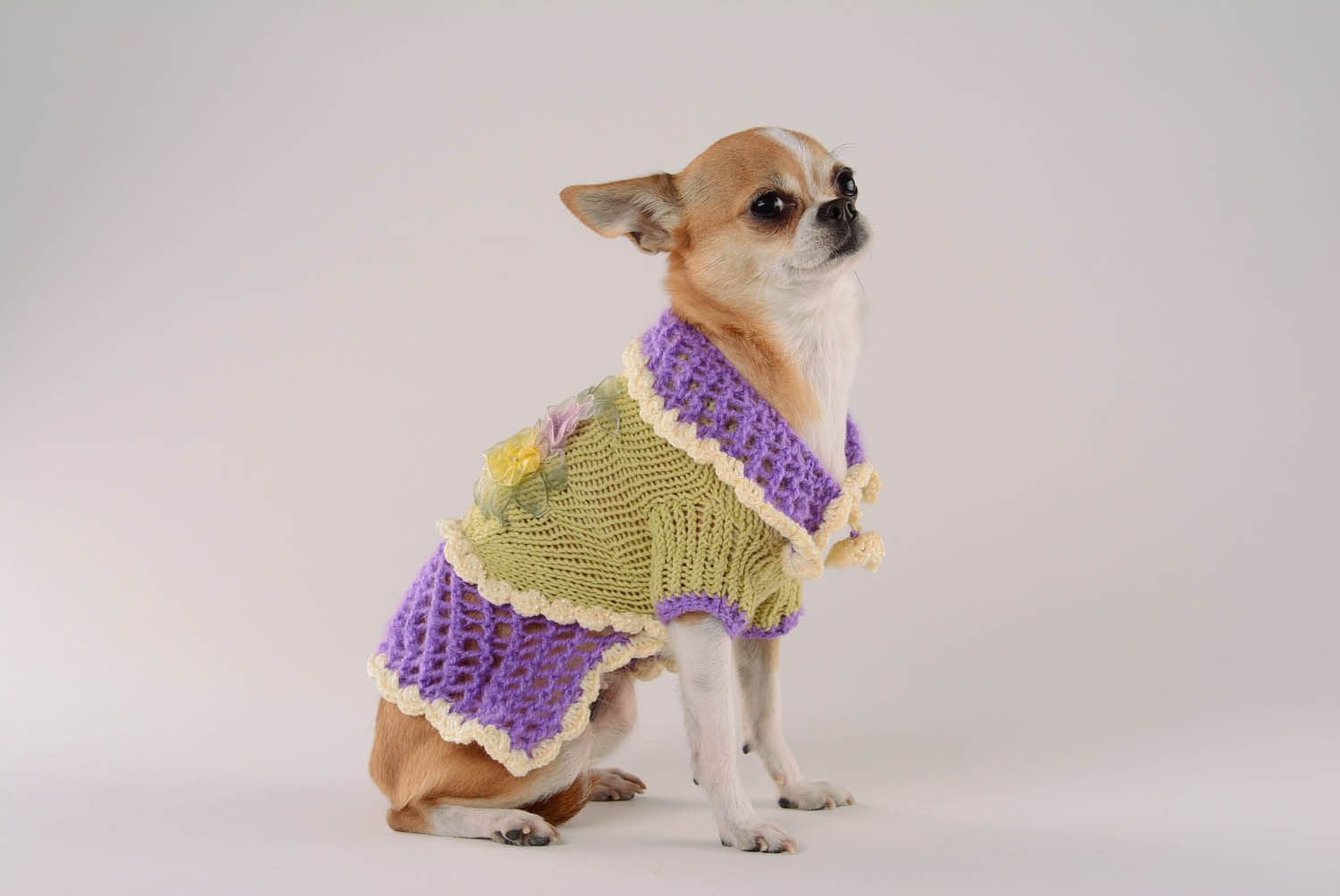 Vestido para cães Violeta roupas para animais feitas à mão  foto 1