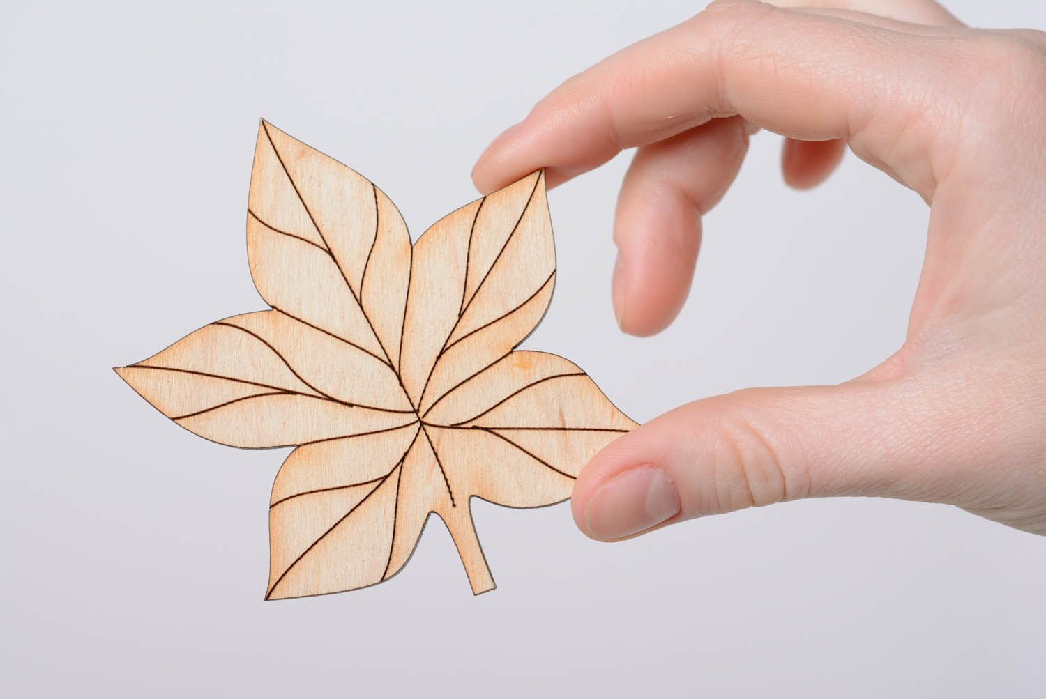Blank magnet in the shape of leaf photo 4