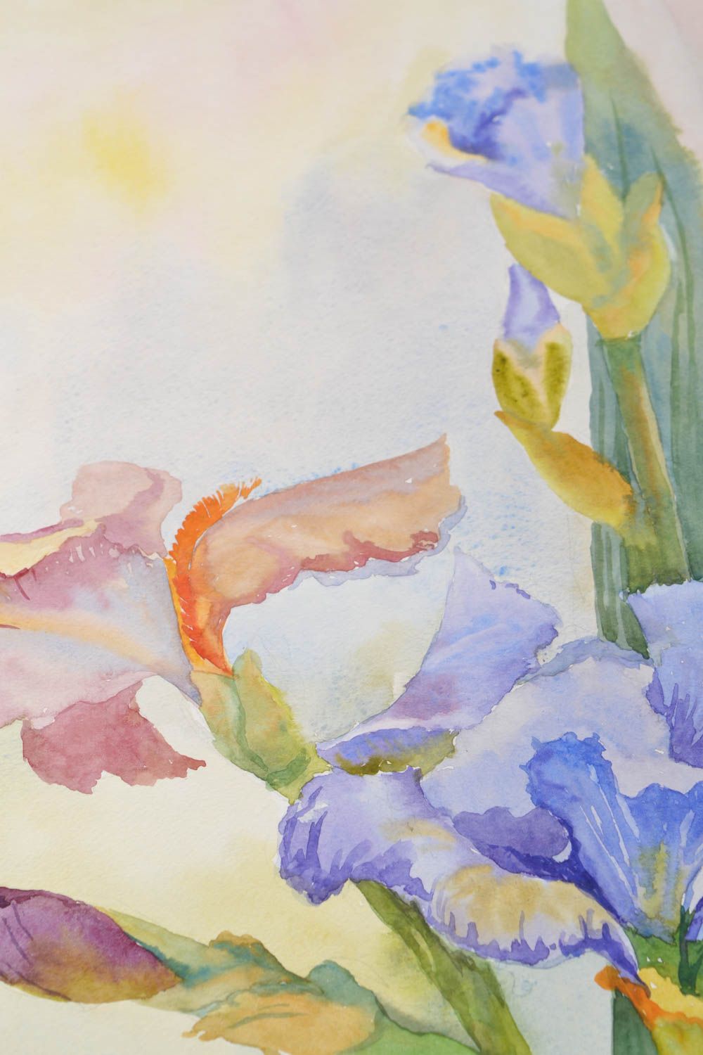 Watercolor painting drawn from nature photo 3