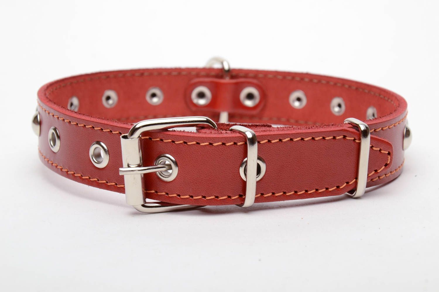 Red dog collar photo 2