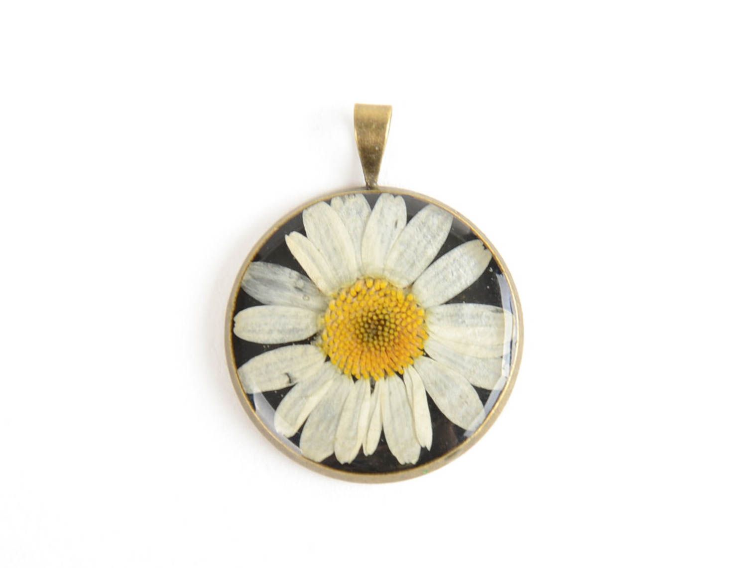 Handmade round neck pendant with real flowers coated with epoxy Camomile photo 1