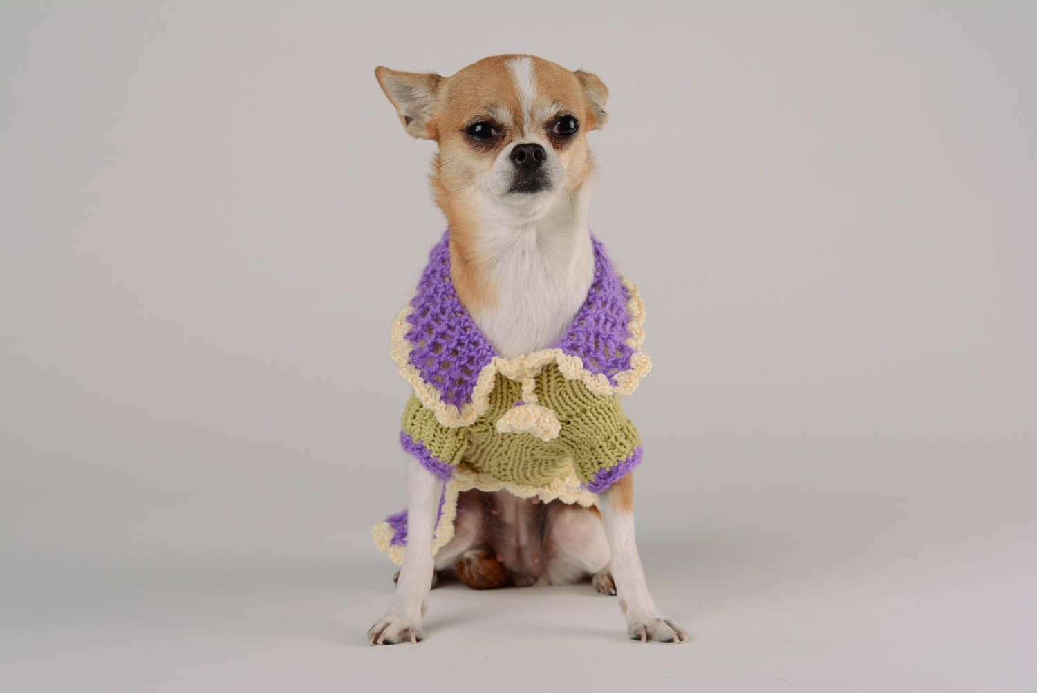 Robe pour chien faite main Violetta photo 4