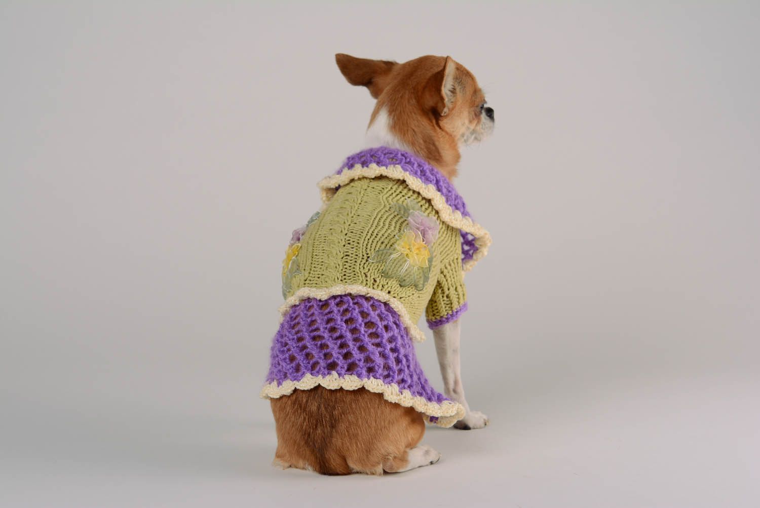 Robe pour chien faite main Violetta photo 5