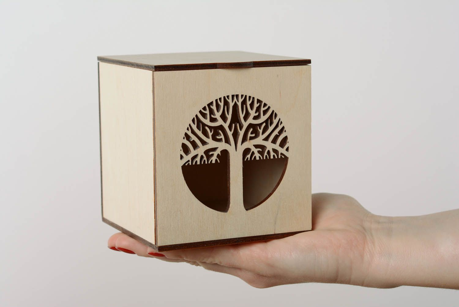 DIY blank box Tree of Life photo 2