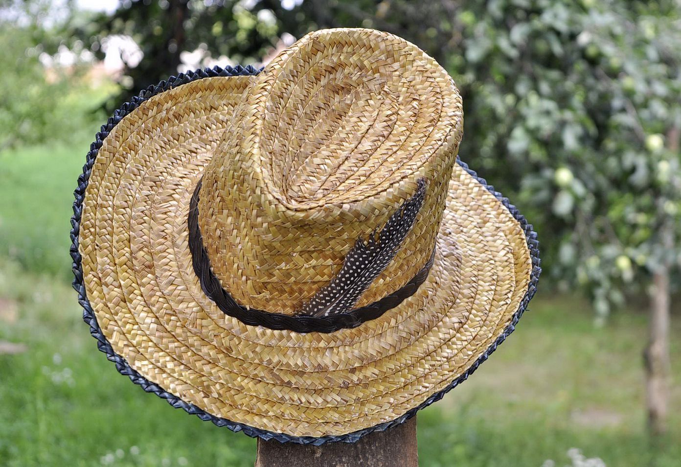 Sombrero de paja de cowboy foto 5