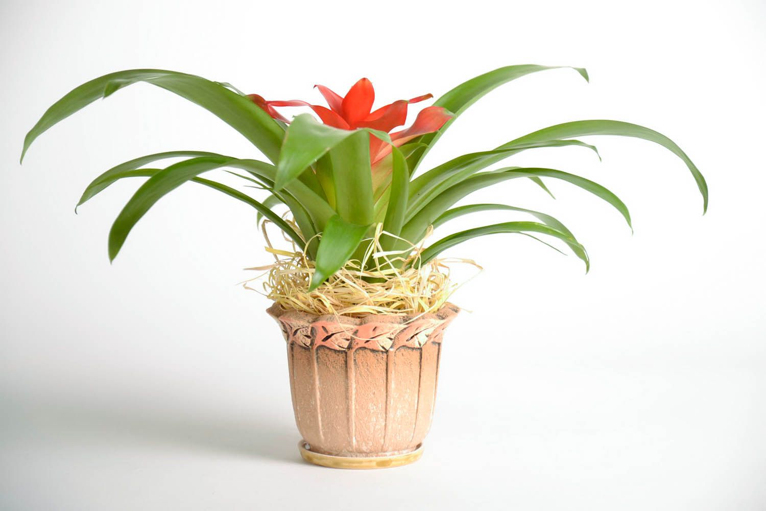 Ceramic pot for indoor plants photo 1