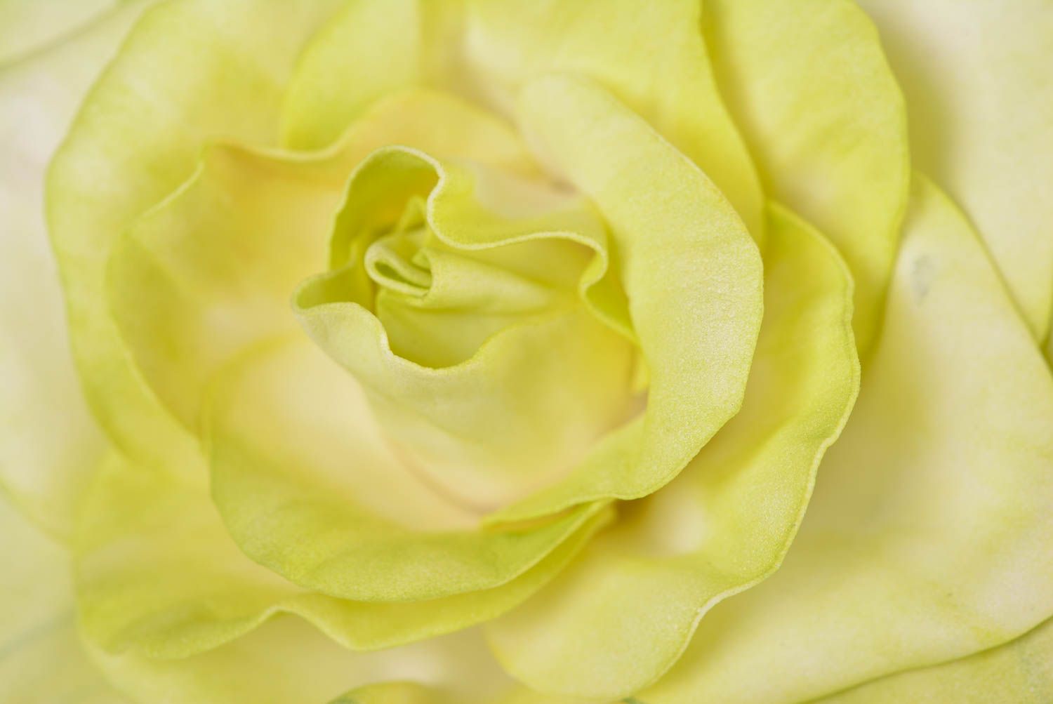 Beautiful women's homemade designer foamiran flower barrette Yellow Rose photo 5