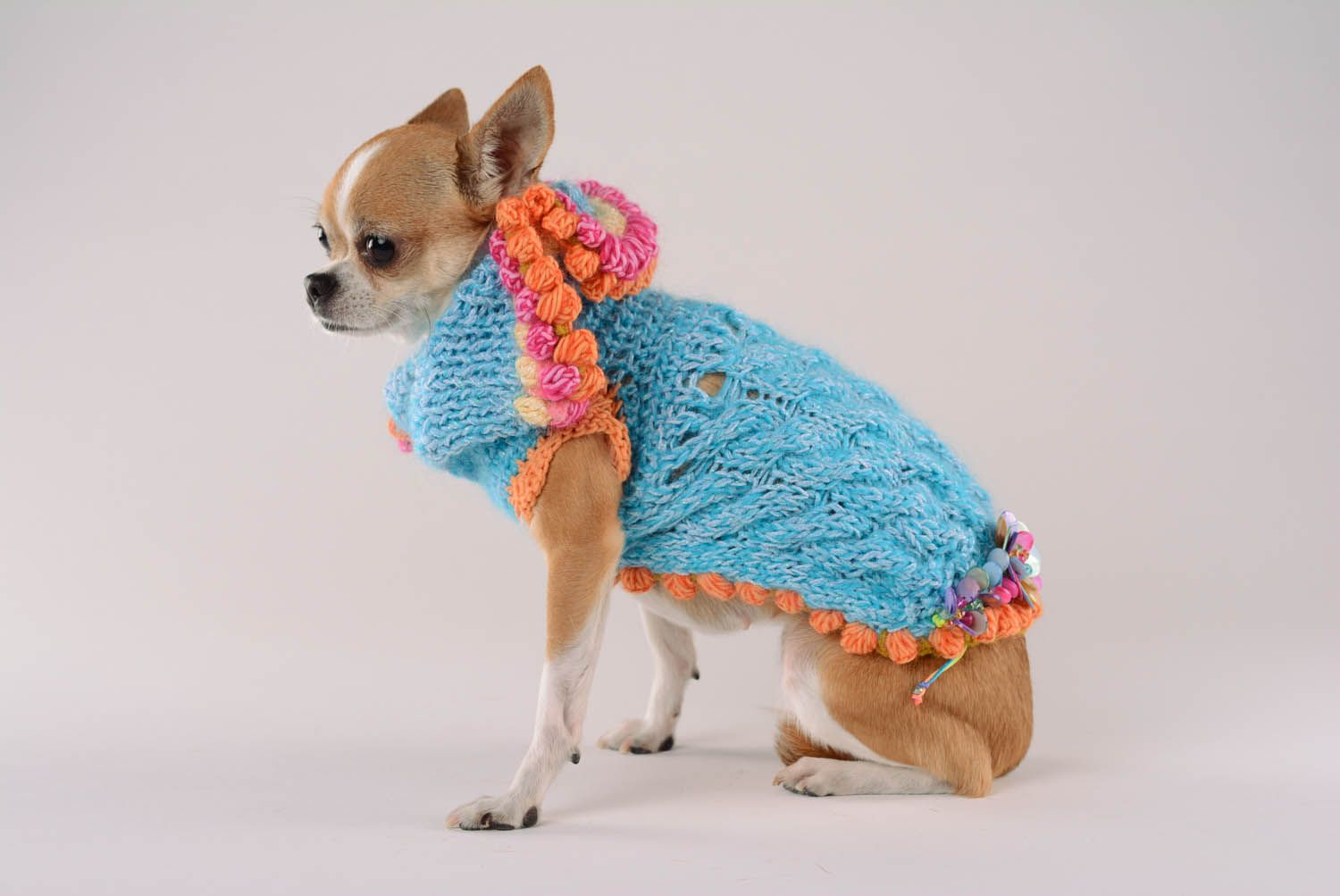 Vestido para cães de cores alegres brilhantes Tulipas foto 1