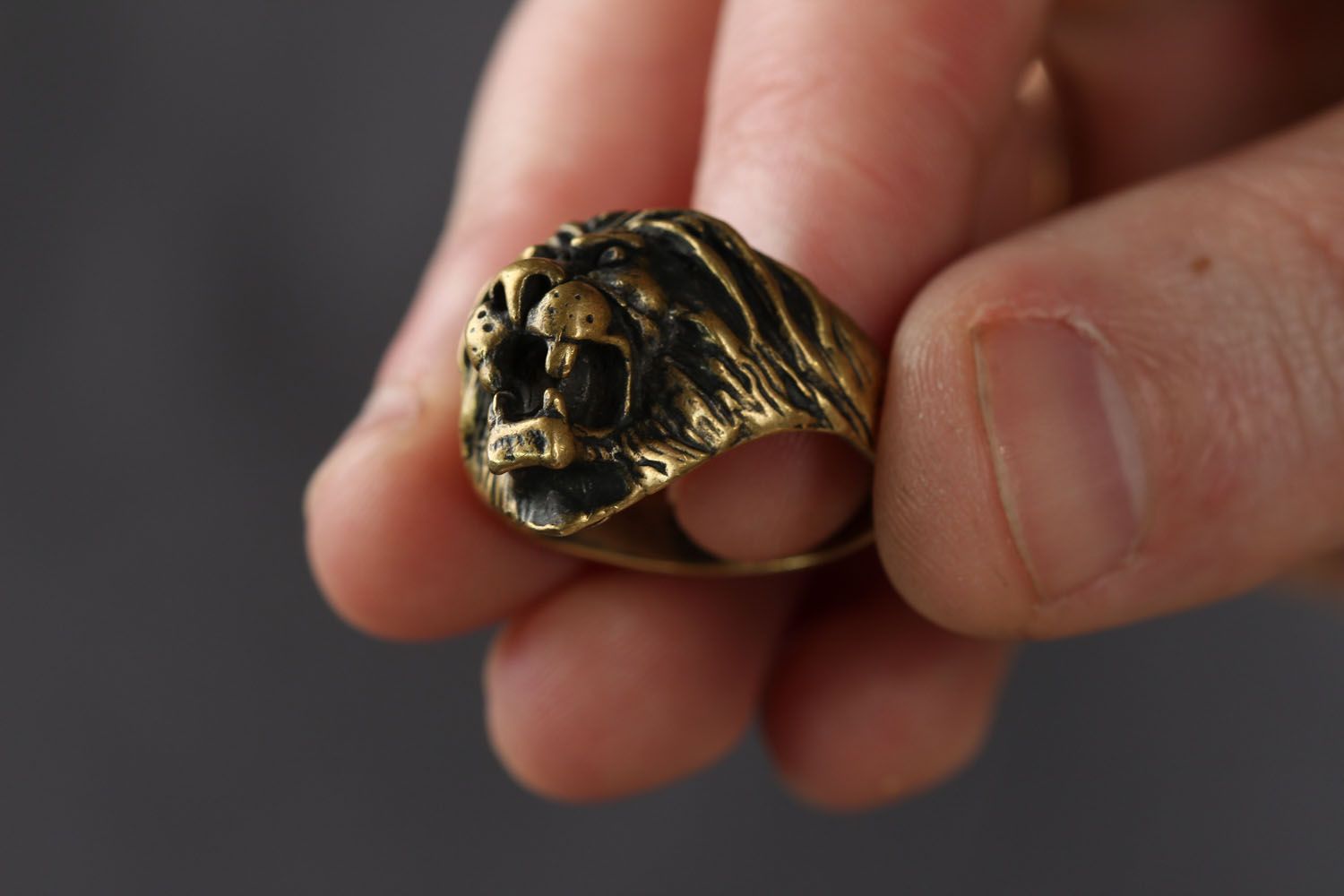 Künstlerischer Fingerring aus Bronze Löwe foto 3