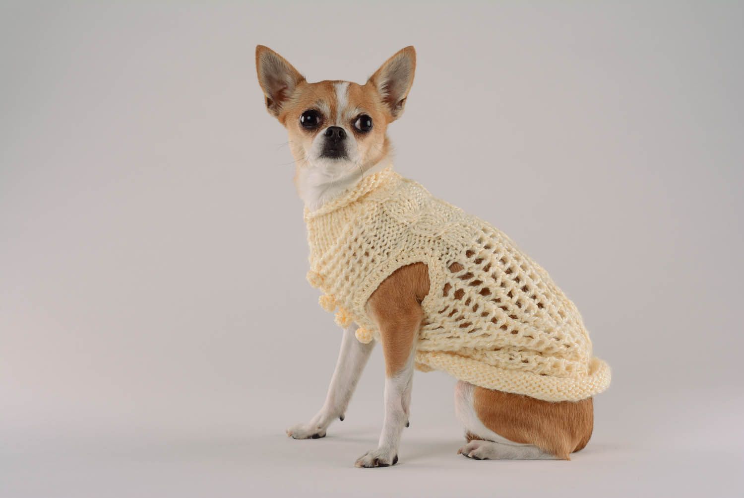 Camisola para cão feita à mão de tecido Sorvete de Limão foto 1
