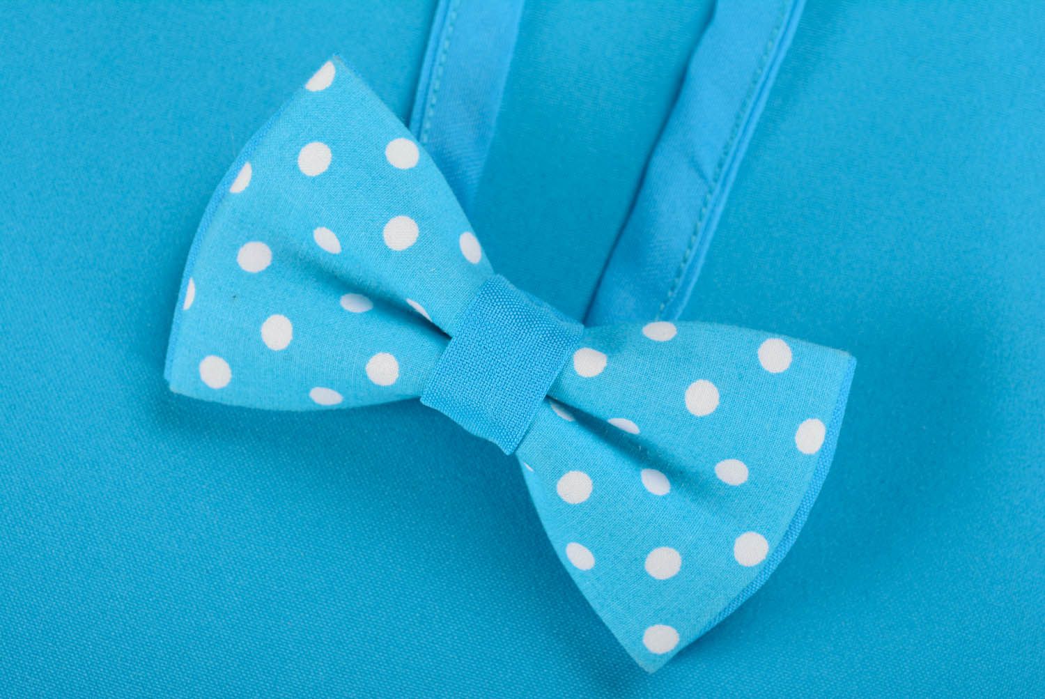 Polka-dotted bow tie photo 3