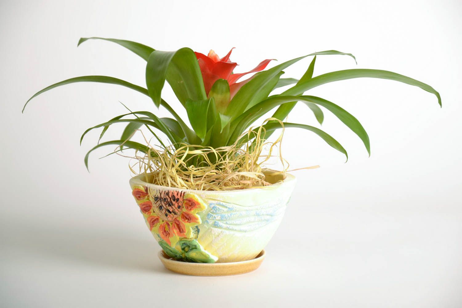Pot à fleurs modelé de l'argile à main photo 1