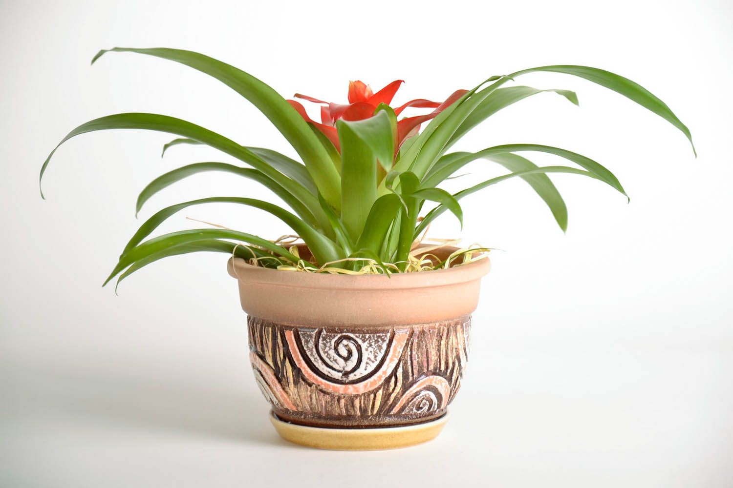 Vaso in ceramica per piante fatto a mano vaso di coccio per fiori con sottovaso  foto 2