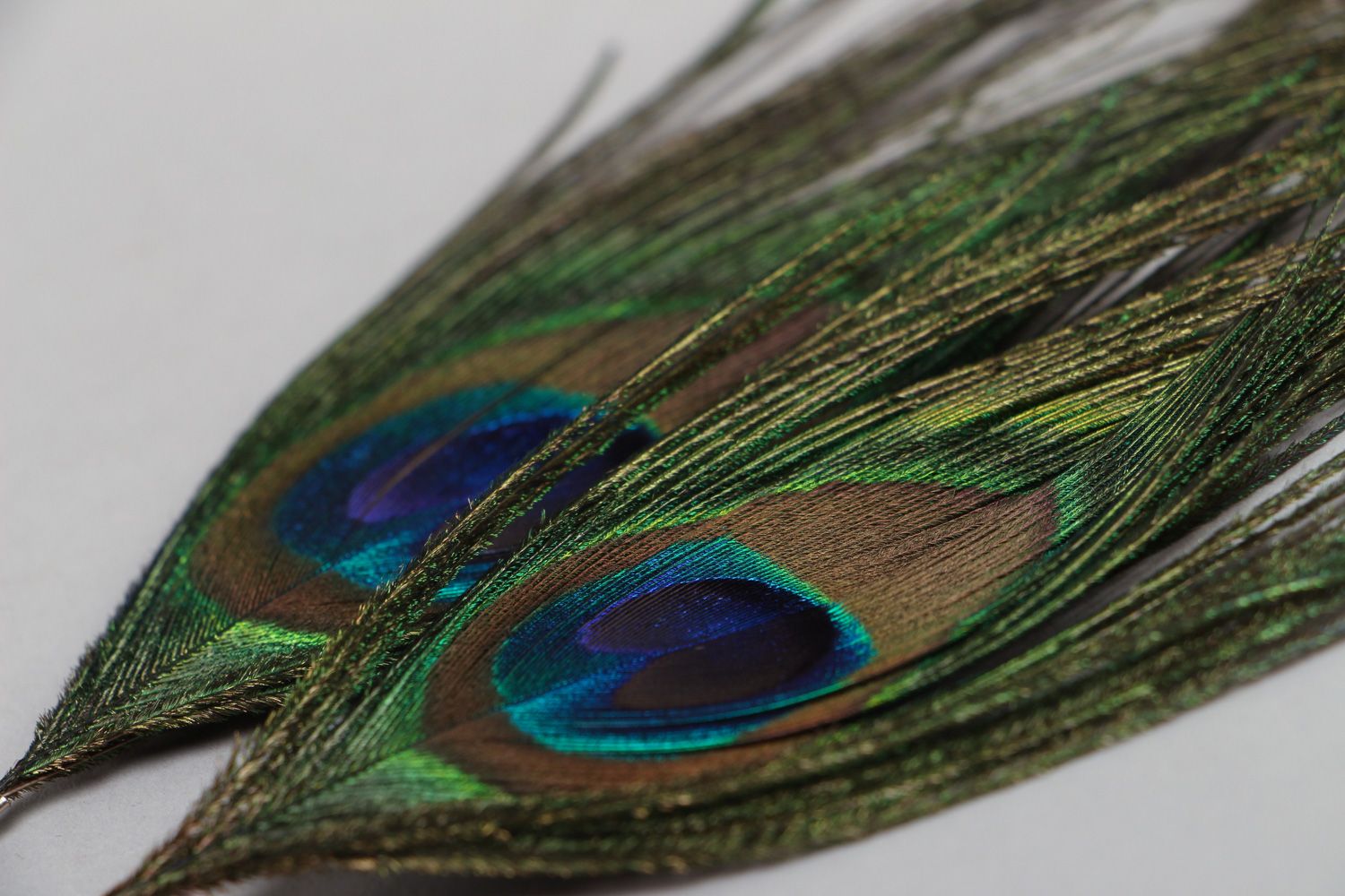 Pendientes de plumas de pavo real artesanales extravagantes foto 3