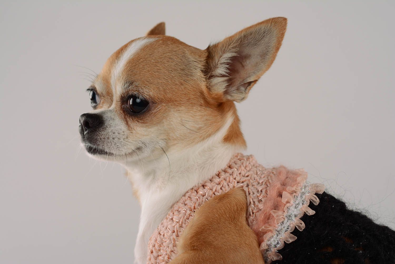 Pull pour chien tricoté Charme vintage photo 2