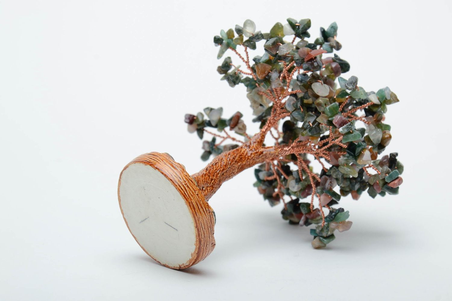 Árbol en miniatura de jaspe  bonsái foto 4