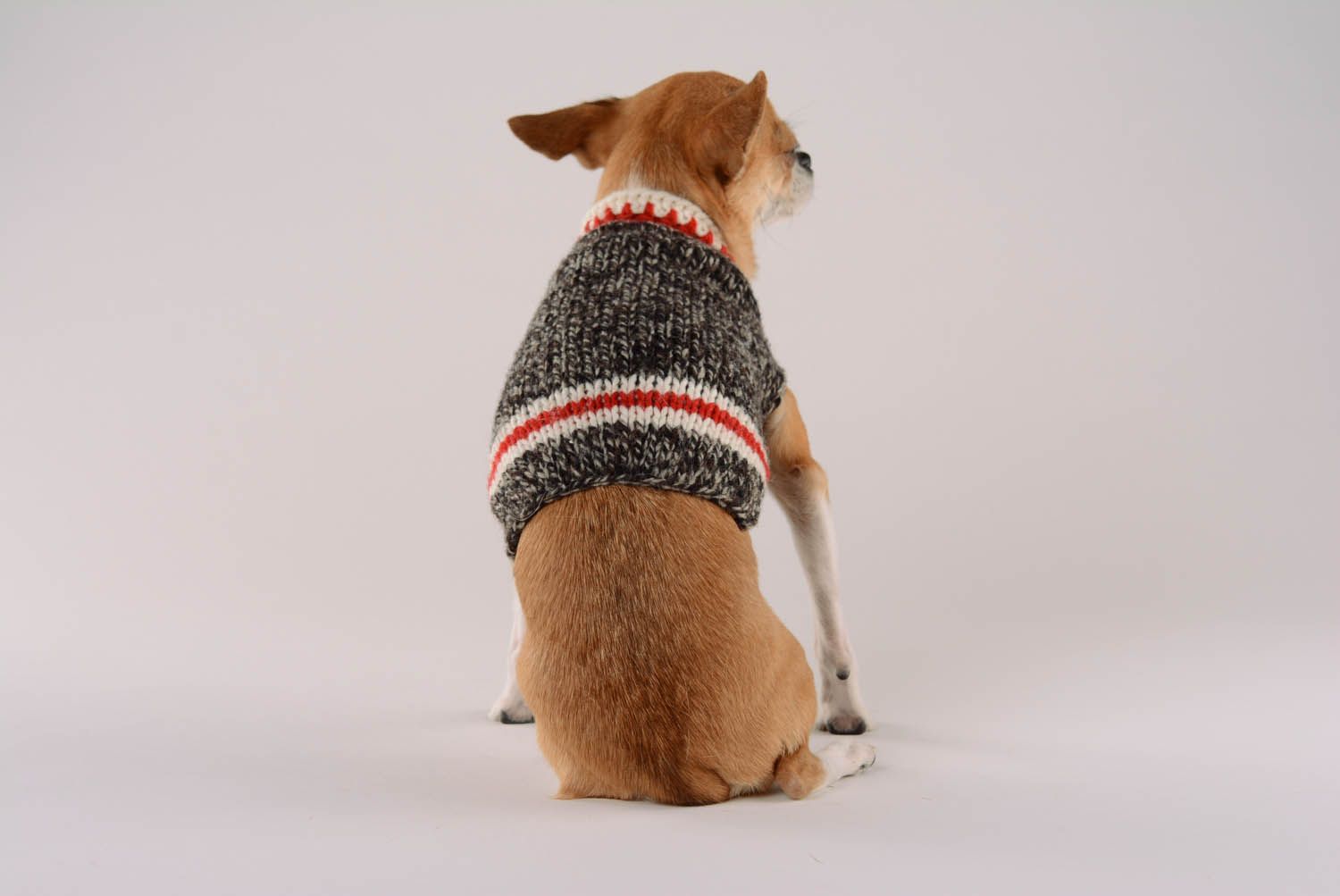 Camisa para cães café de manha roupas para animais feitas à mão  foto 5