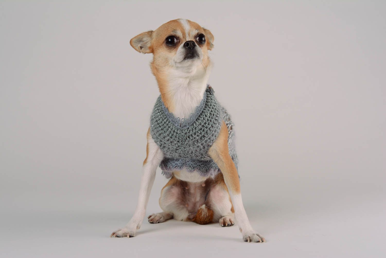 Dress for dogs Silver temptation photo 5