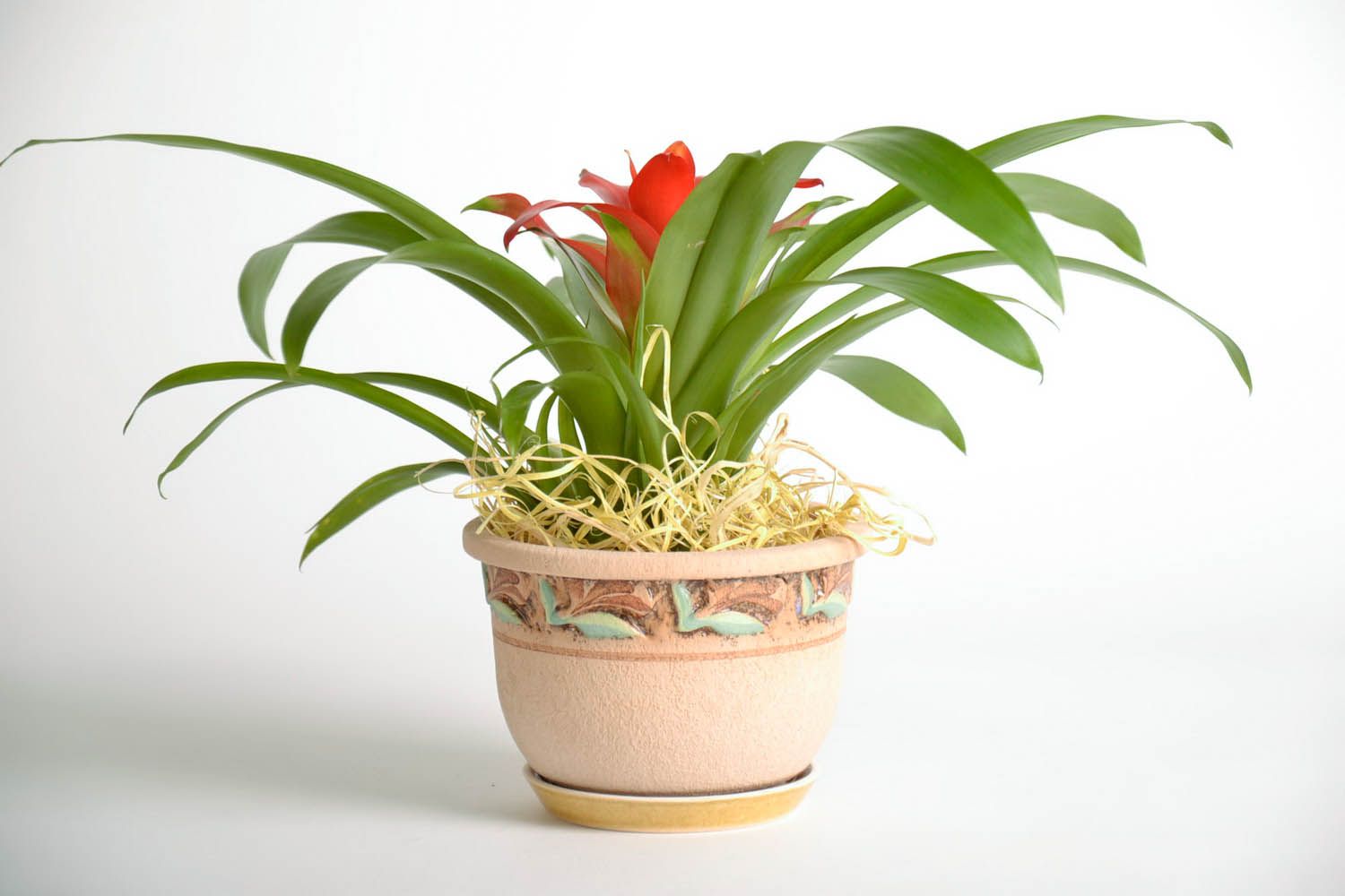 Vaso fatto a mano vaso per fiori in ceramica attrezzi per giardinaggio
 foto 2