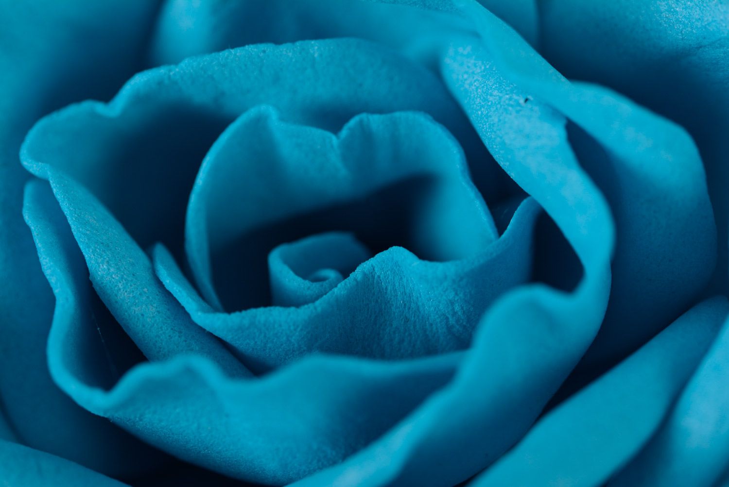 Élastique à cheveux fait main original en forme de fleur de couleur bleue photo 2