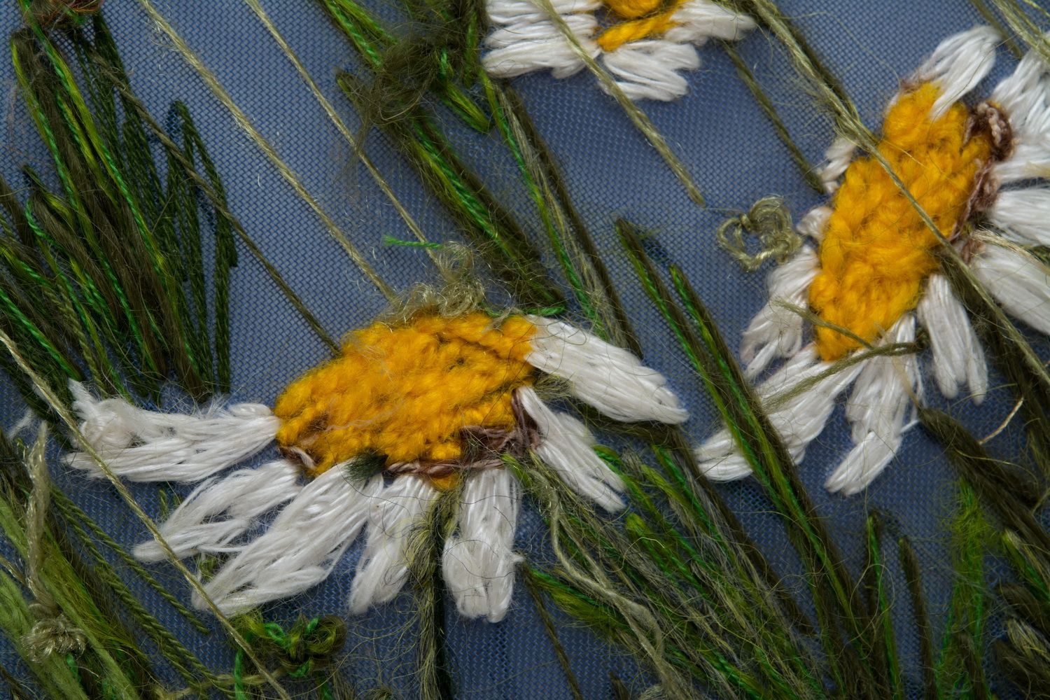 Wall painting Camomile Field photo 4