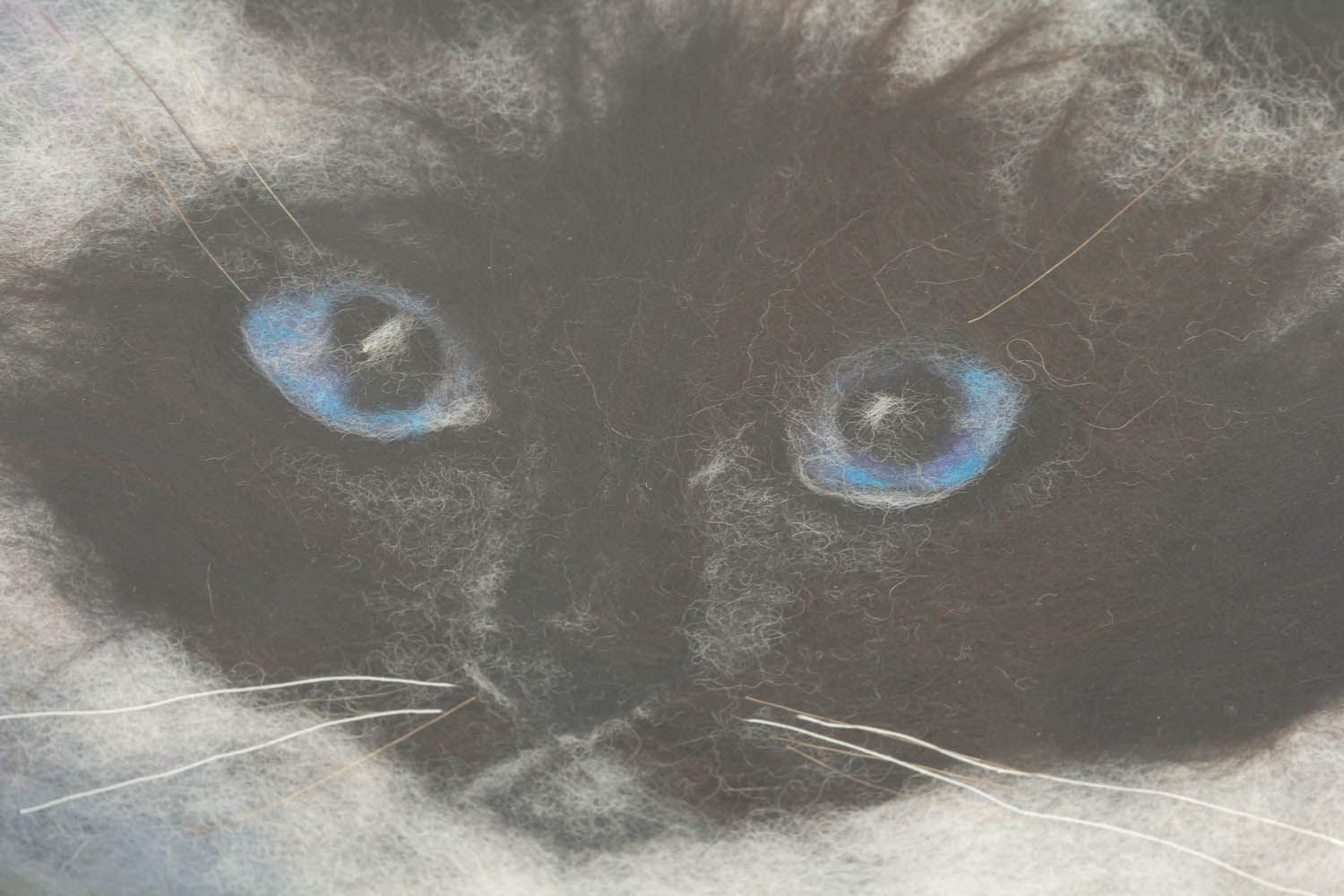 Картина из шерсти Сиамский кот фото 5