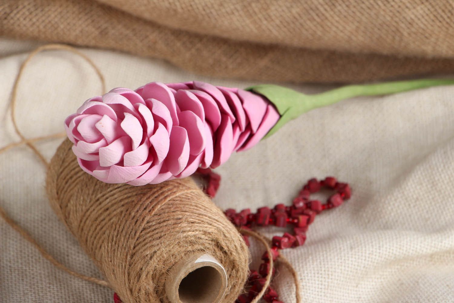Flor de gengibre de cor rosa foto 5