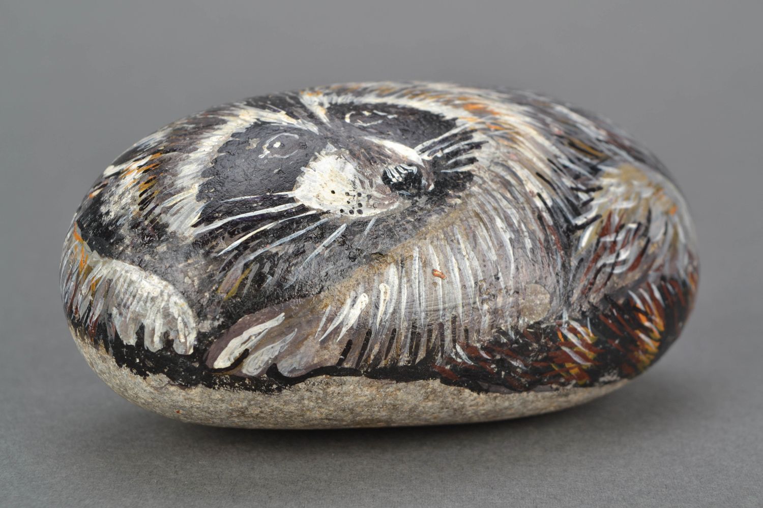 Painted sea stone for home decor Raccoon photo 3