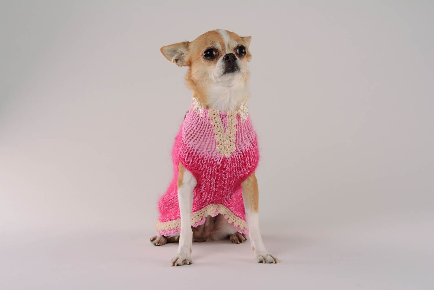 Vestido para cães com rendas roupas para animais feitas à mão  foto 4