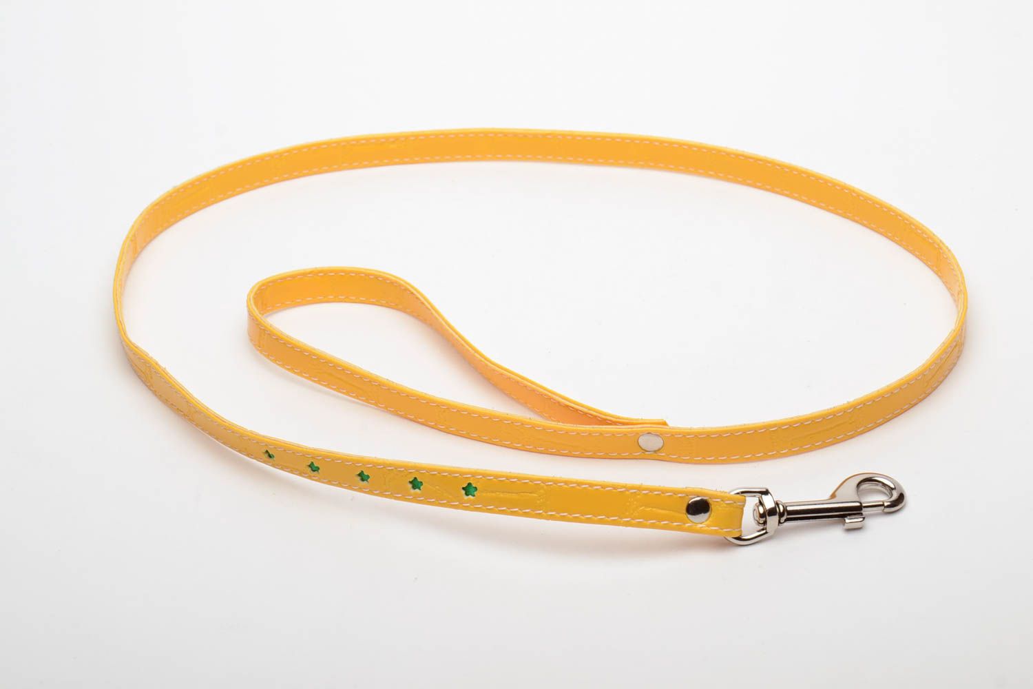 Yellow dog leash photo 2