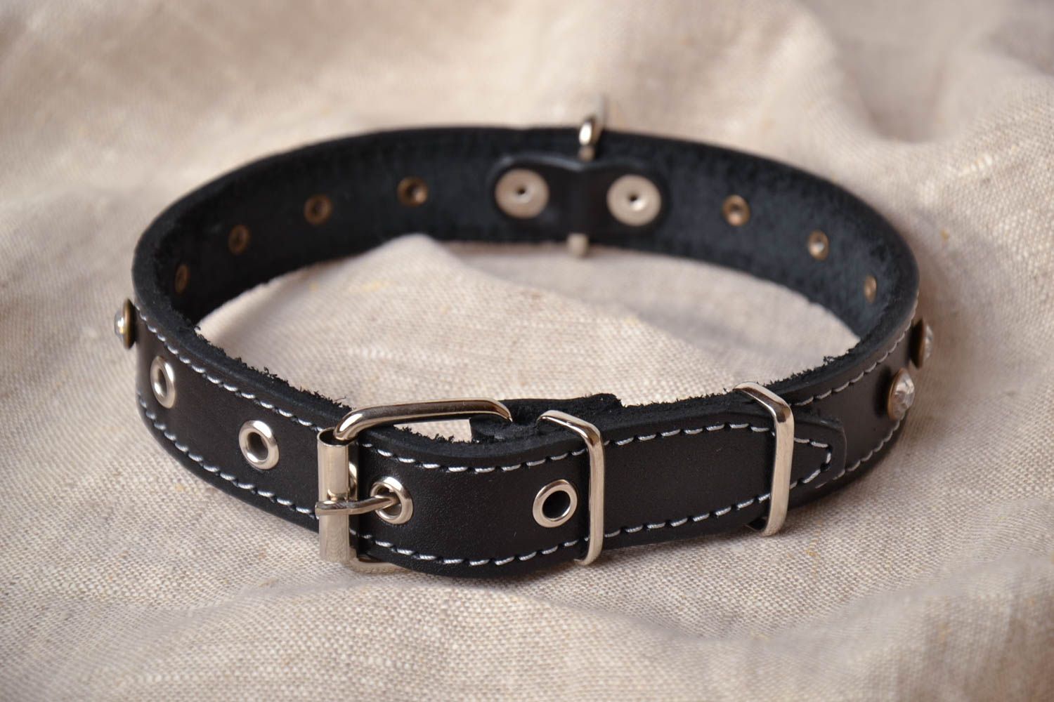 Dog collar photo 1